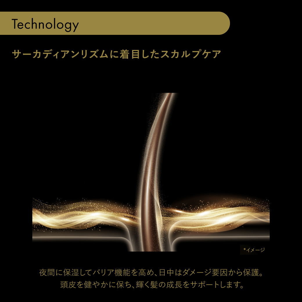 オンラインショップ|資生堂美容室