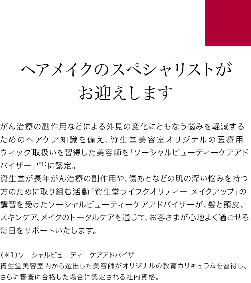 ☆ 美容師国家試験 カットウィッグ３台・未使用の+inforsante.fr